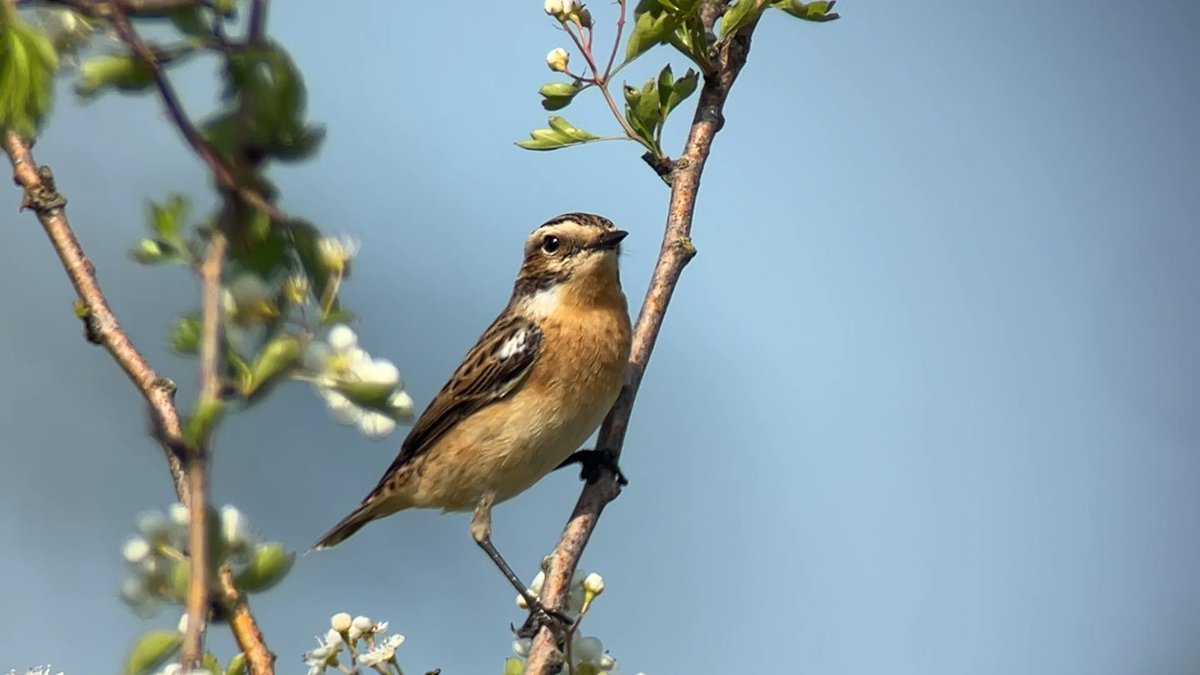 James Wilkinson tweet media