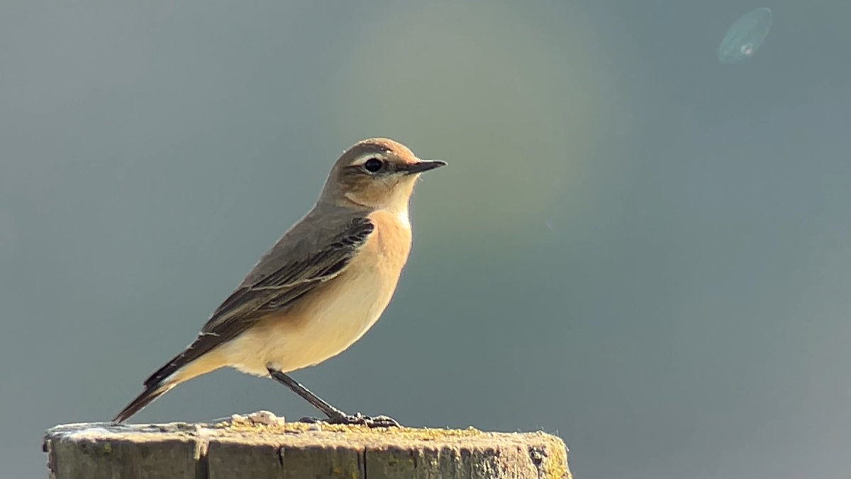 James Wilkinson tweet media