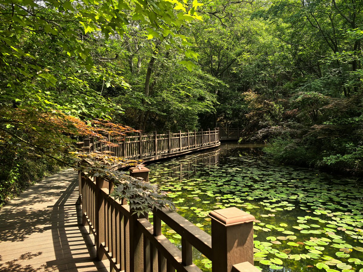 路过蜻蜓 tweet media