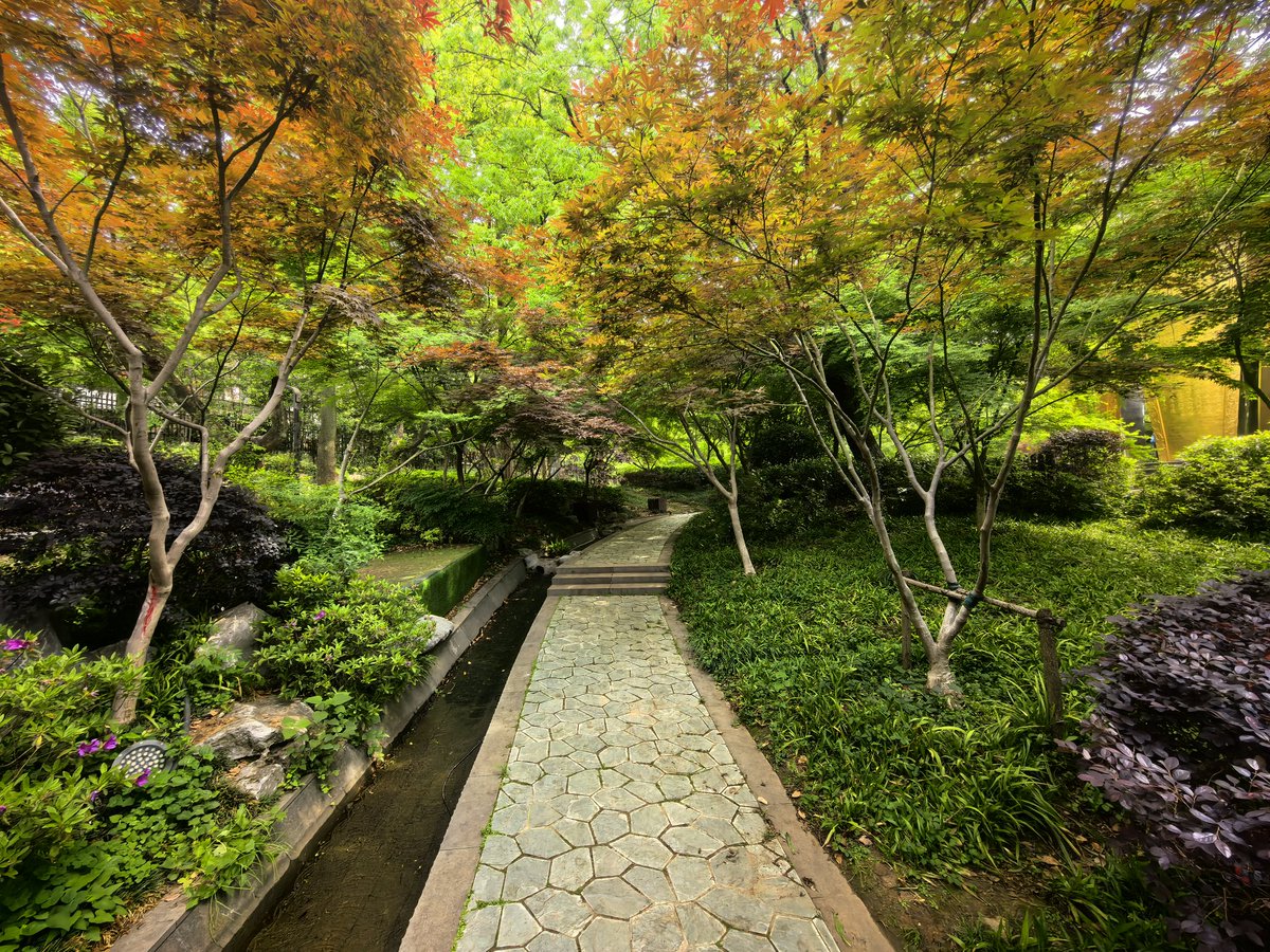 路过蜻蜓 tweet media