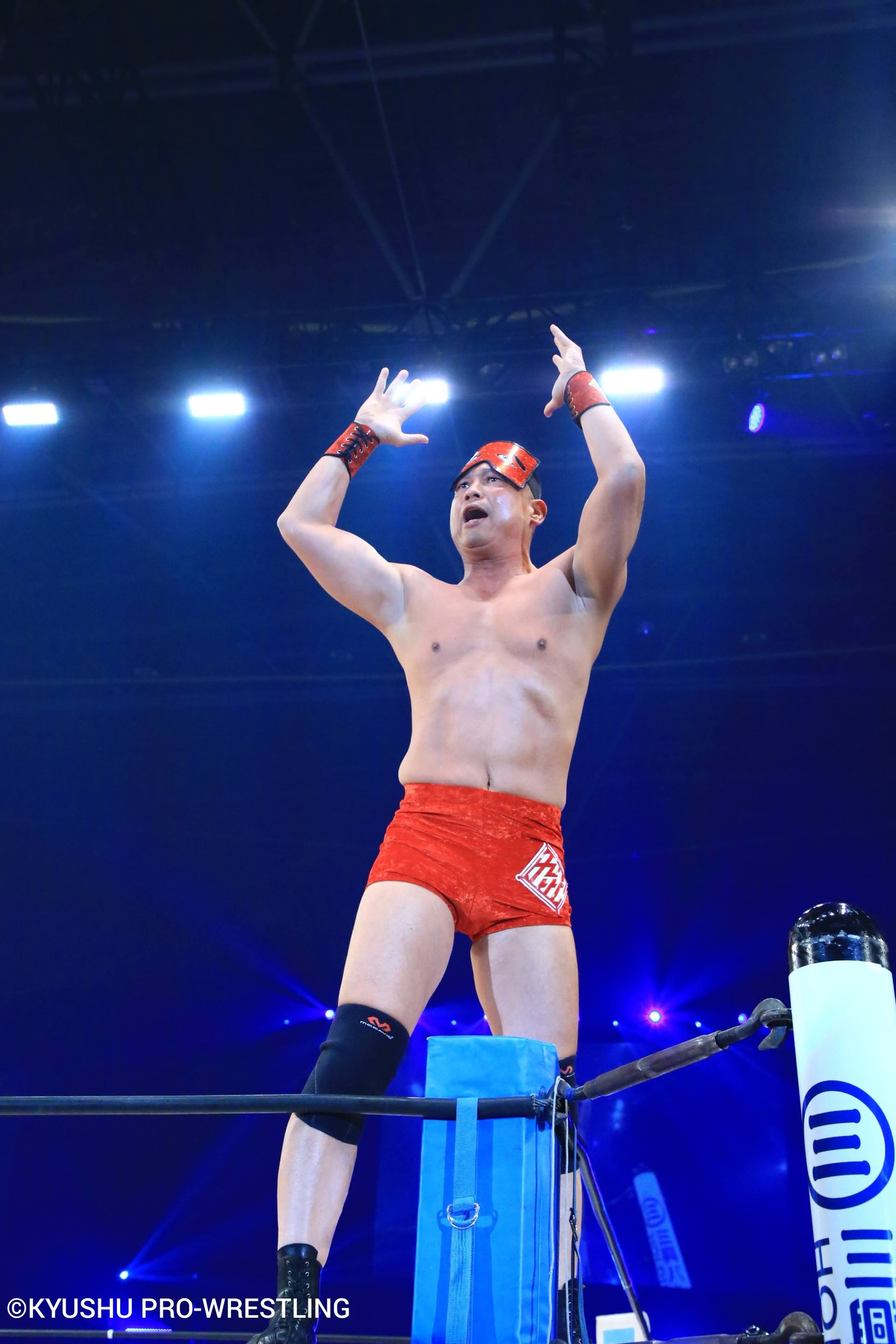 プロレスラー クッション 入手困難】NJPW 新日本プロレス 風神 雷神