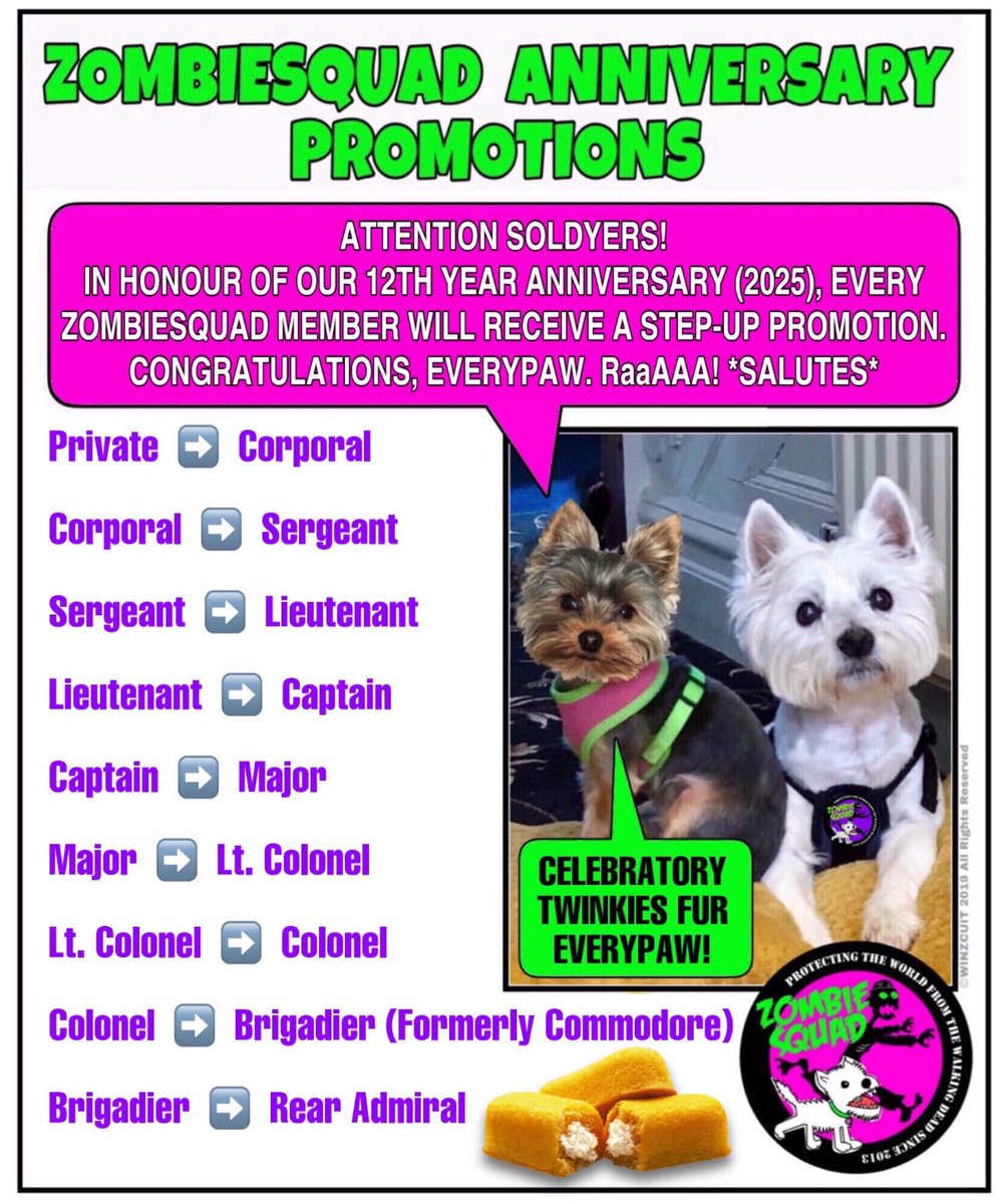🐶 GENERAL SHORTCAKE tweet media