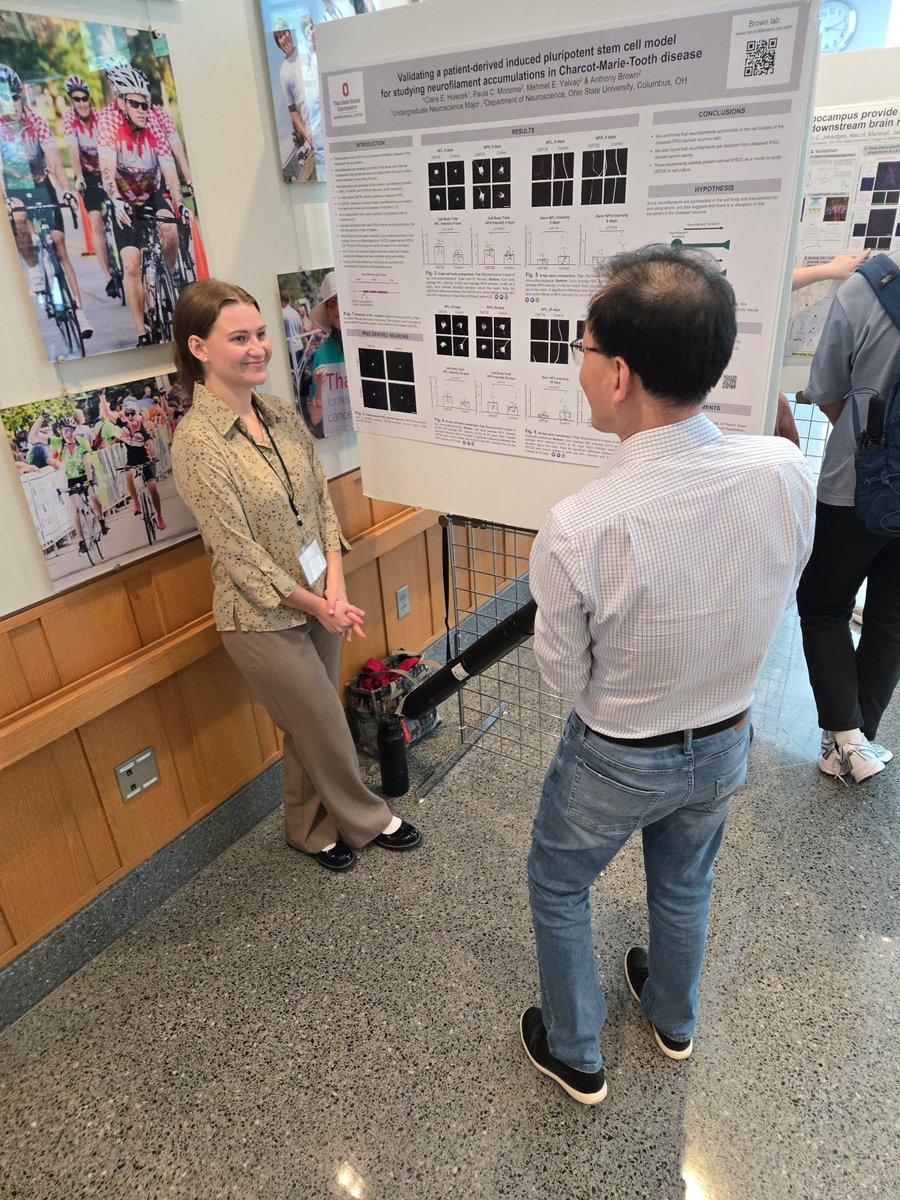 Our second poster session was truly outstanding! Than you to everyone for their hard work and efforts #BuckeyeNeurosci 🧠#2025DepartmentofNeuroscienceResearchDay