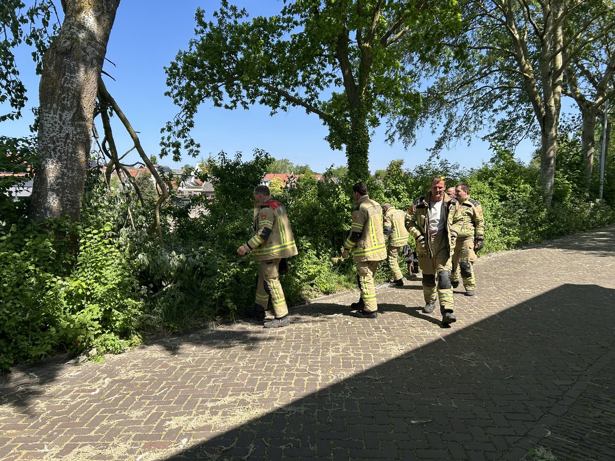 benblik's tweet photo. Grote tak begeeft het aan de Vissersdijk , met vereende krachten de weg weer vrij gekregen. https://t.co/xLZm4M2clX