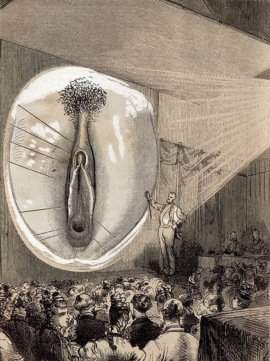 Honest Erotica tweet media