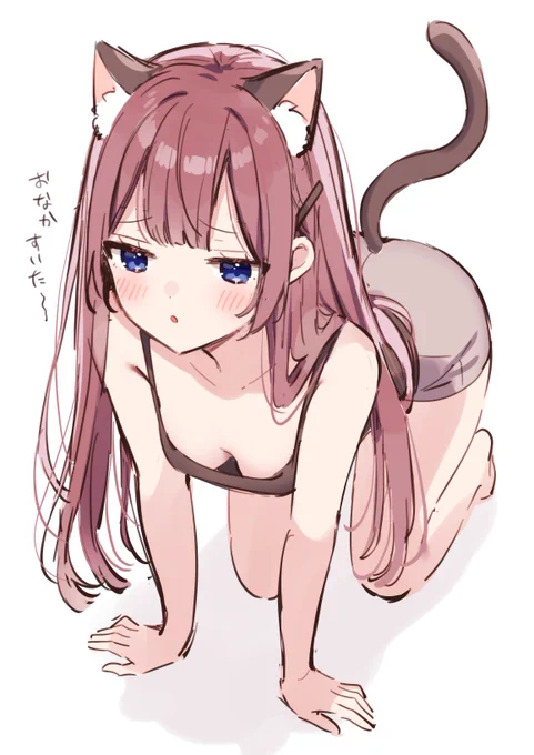 ちょっとわがままな飼い猫 