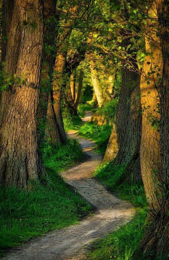 🫒Take the first  step.👣   
          🖋️ D.Fisher👣
🩷𑜞✿᭄—————💜
    🍀💙 𝕭𝖊𝖆𝖚𝖙𝖎𝖋𝖚𝖑 𝕯𝖆𝖞 💙🍀
          #𝖕𝖔𝖘𝖎𝖙𝖎𝖛𝖊_𝖛𝖎𝖇𝖊𝖘_𝕺𝖓𝖑𝖞
                  💜 —————🩷𑜞✿᭄