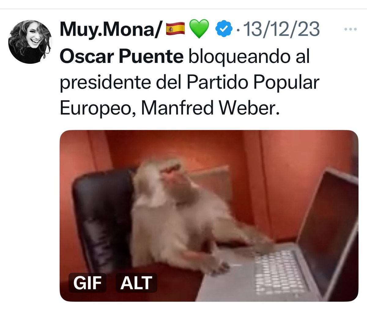 oscar_puente_'s tweet photo. Si vas a demandar, estás tardando. Así además desvelarás tu identidad. Antes te va a tocar borrar mucho. Es difícil atentar contra el honor de quién: ¿de la actriz cuya foto usas para ocultar tu identidad?¿de Muy.Mona? Tenéis la piel muy fina para tener la lengua tan larga. https://t.co/V09R40UqFZ