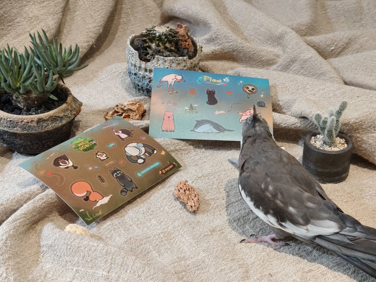 fannfann9's tweet image. BIO12 新品
#thewildrobot #FLOW