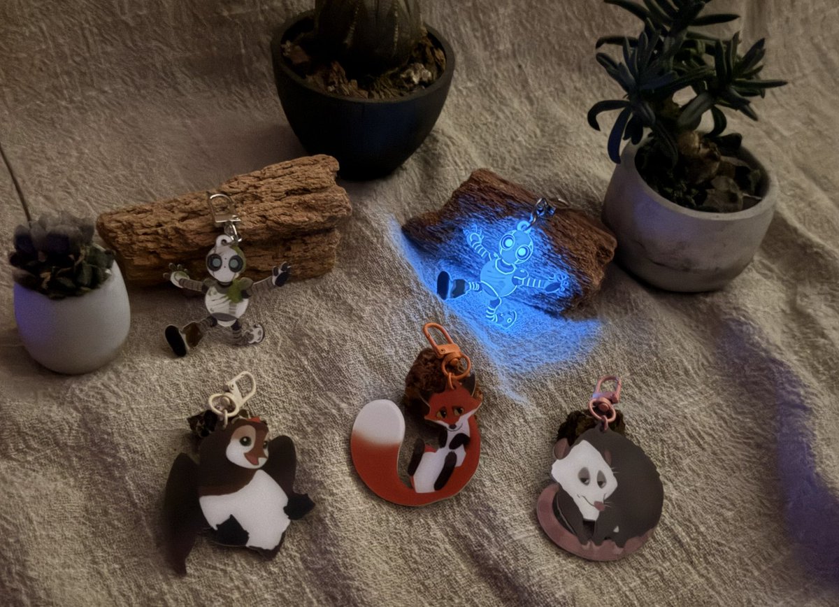 fannfann9's tweet image. BIO12 新品
#thewildrobot #FLOW