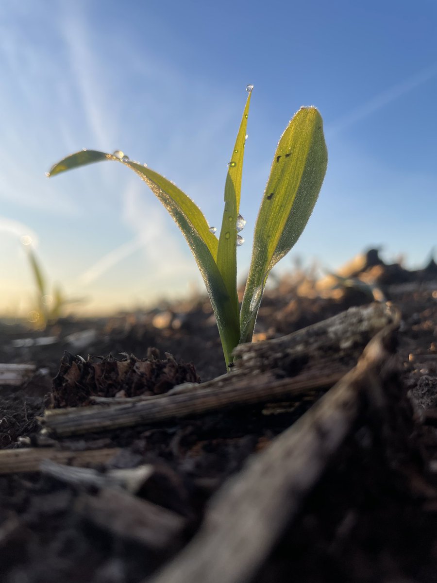 Bayer Crop Science, Gothenburg Learning Center tweet media