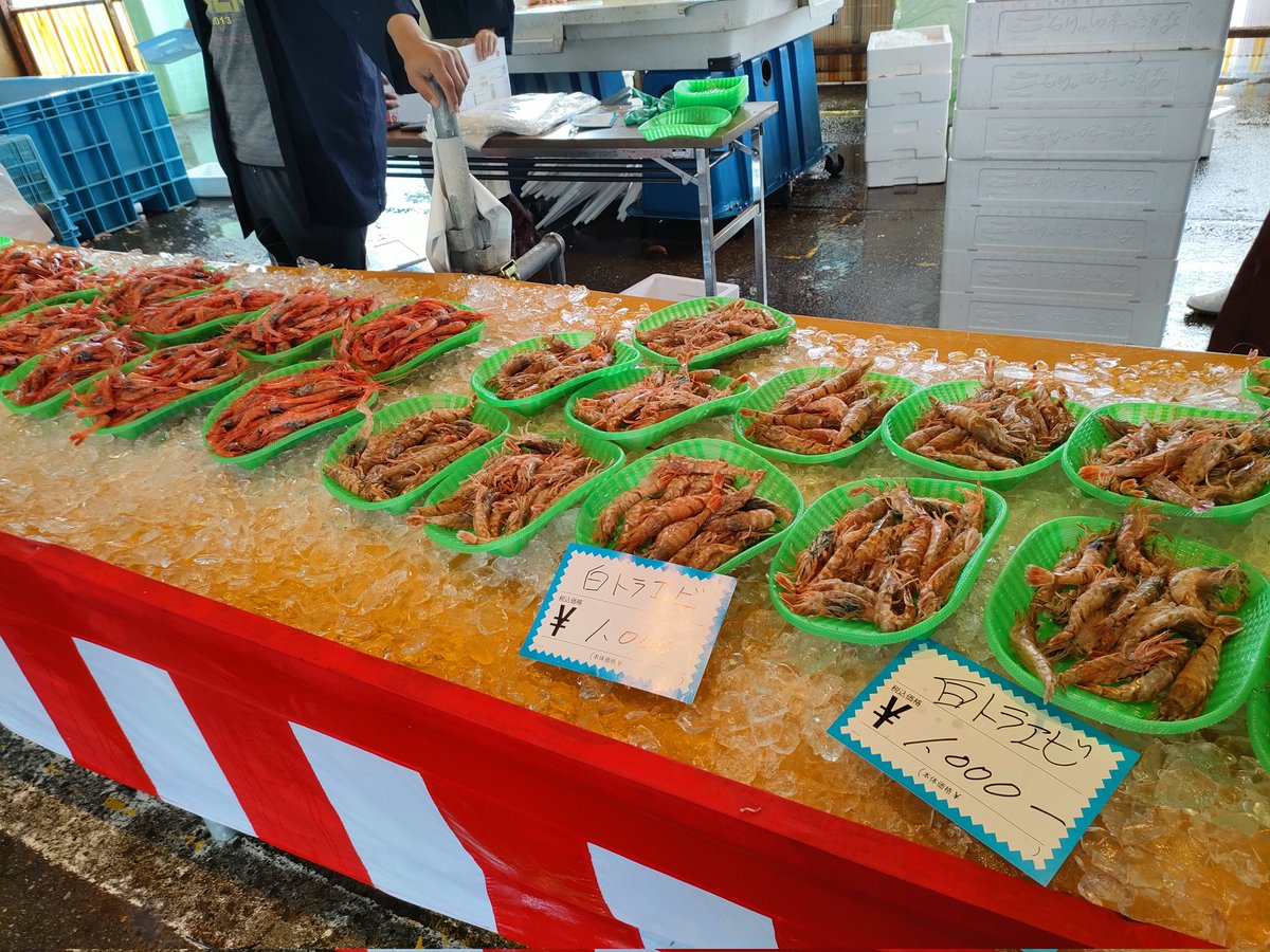 sp_tre_'s tweet photo. 「九谷茶碗まつり」と「橋立港おさかな感謝祭」のハシゴで充実した一日になるハズが…
和田山会場の青郊窯のレジ待ちの行列ヤバ過ぎて購入断念
橋立港着いたら11時20分やったけど、今並んでる人で飲食は終了と言われた
順番間違えたな〜😩
#石川県
#GW https://t.co/lSKbt1CQyt