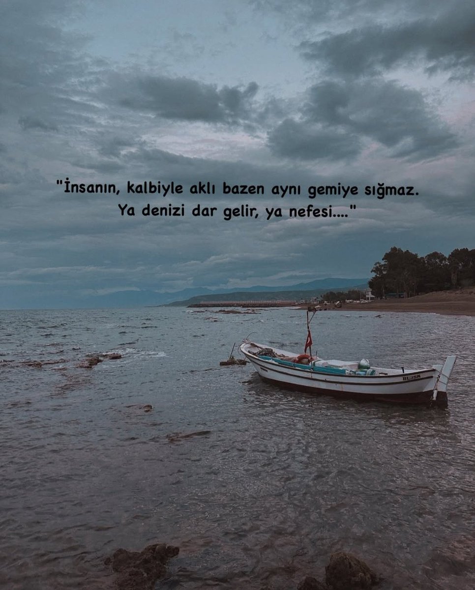 ebrarasan (@ebrarasnn) on Twitter photo 