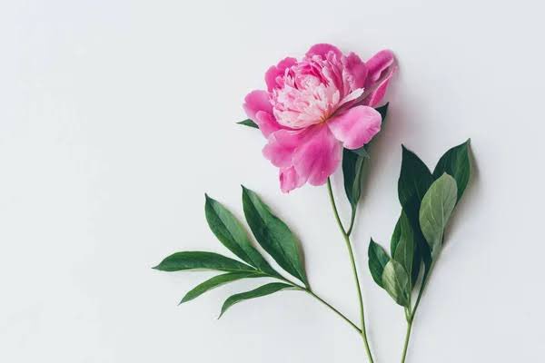 Adım ne Yusuf ne de Züleyha 🌸

Bu kuyuda eskiyim ..Kuyu serin ,kuyu yüreğimden de derin.

Yusuf'u (Hz) kuyudan nasıl çıkardıysan bize de ferahlık nasip et Allahım 🌷🙏