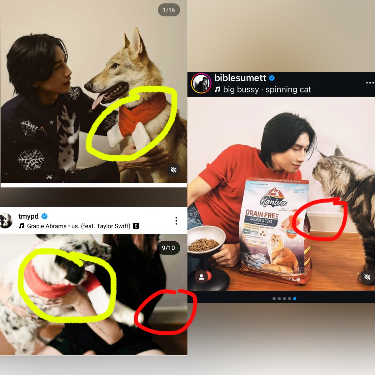 SomewhereonlyBBMknows tweet media