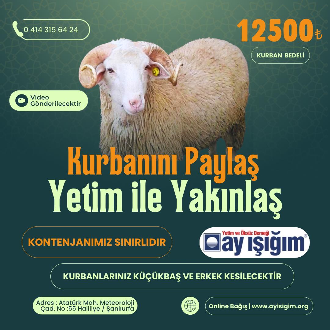 📢 Kurban Bağışı Duyurusu
Şanlıurfa’da faaliyet gösteren Ayışığım Derneği olarak, kurbanlarınızı noter huzurunda ve İslami kurallara uygun şekilde kesiyor; ihtiyaç sahibi yetim ve öksüz ailelere ulaştırıyoruz.
🤝 Bağışlarınız gerçek ihtiyaç sahiplerine ulaşıyor.
⚠️ Kontenjanımız