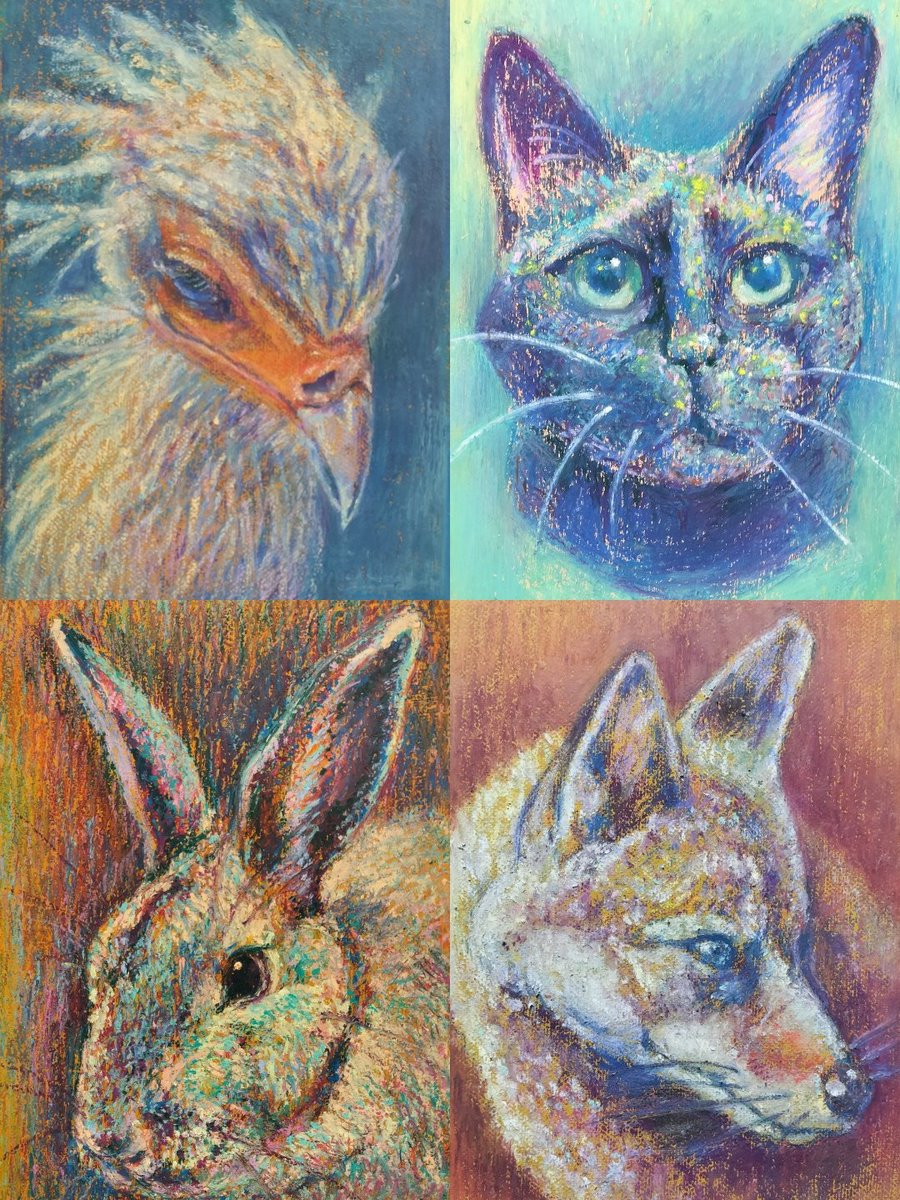 Yuta_Colorful's tweet photo. 大好きな動物達🐱

#ゴールデンウィークSNS展覧会2025
 #GWアナログ絵祭り
#絵描きさんと繋がりたい
#動物園 https://t.co/woUeGqA8av