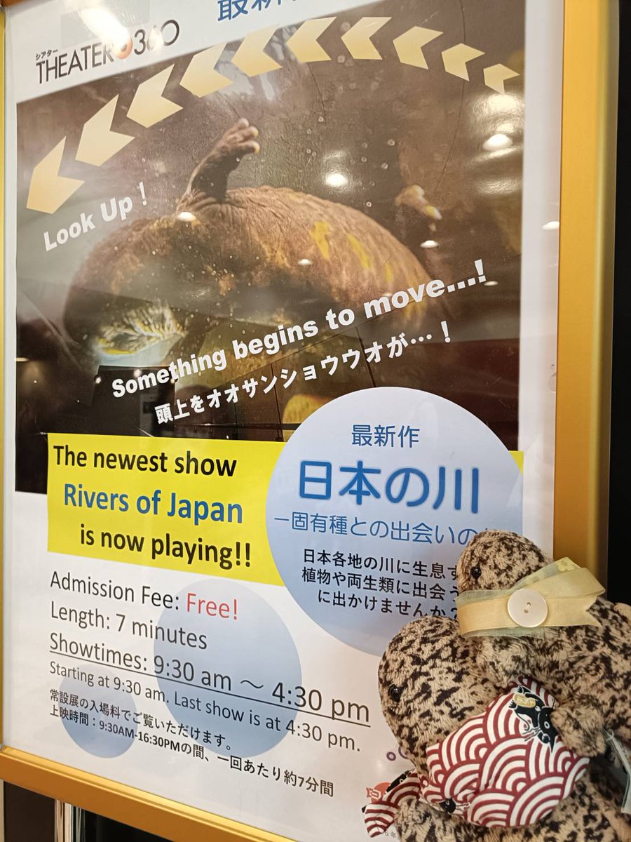 sansyo26's tweet photo. 上野と池袋行ってきた！
#オオサンショウウオ https://t.co/uY0TFEXGAa