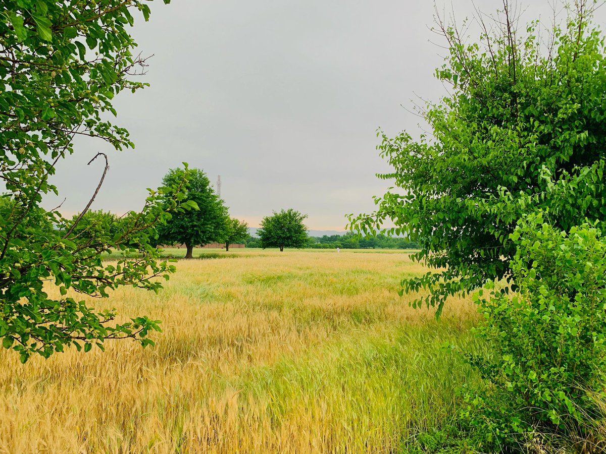 د خوست د تڼیو ولسوالۍ فقیراباد کلی، د نن باراني عکسونه!
عکاس: اسدالله عرفان