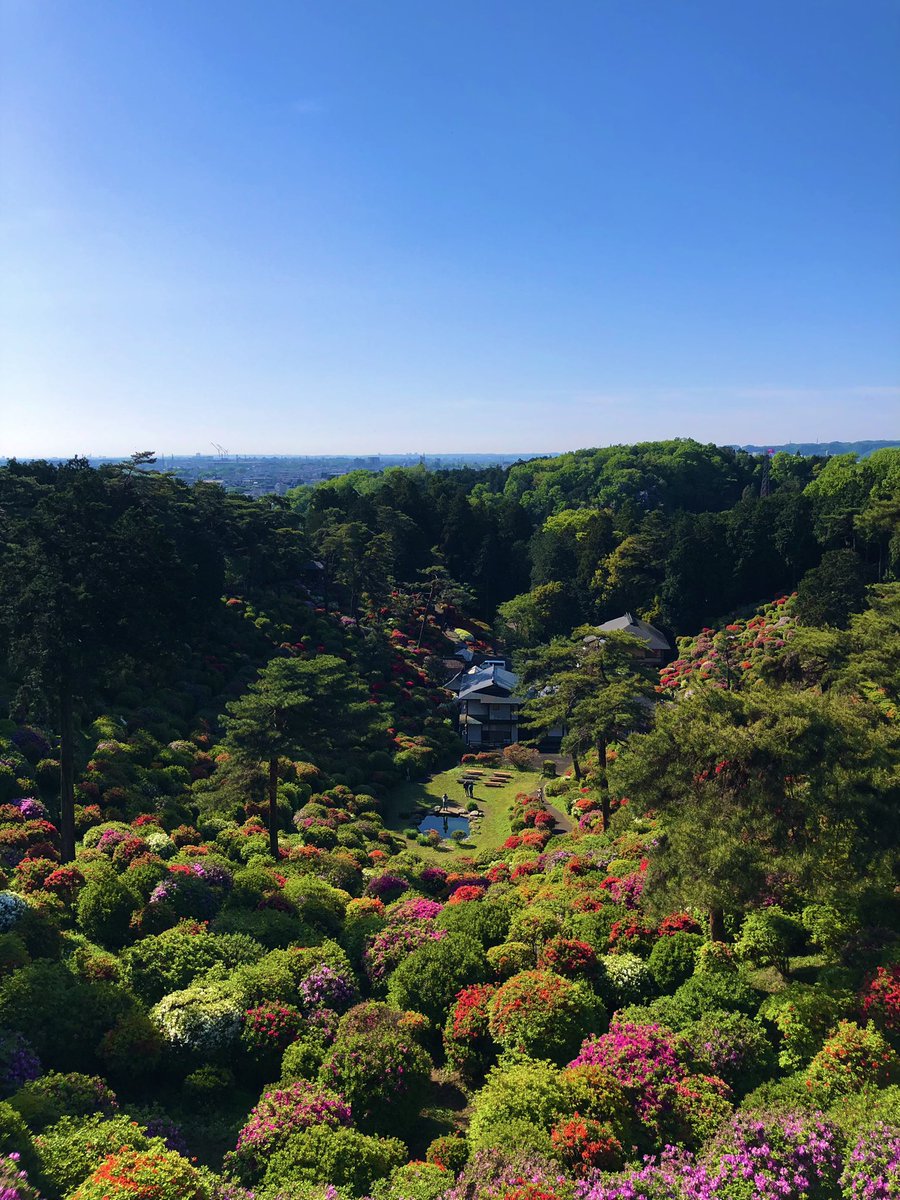 hiro__1__'s tweet photo. 毎年訪れる場所🚶‍♂️

#塩船観音寺
#つつじ https://t.co/OSWgchGlrJ