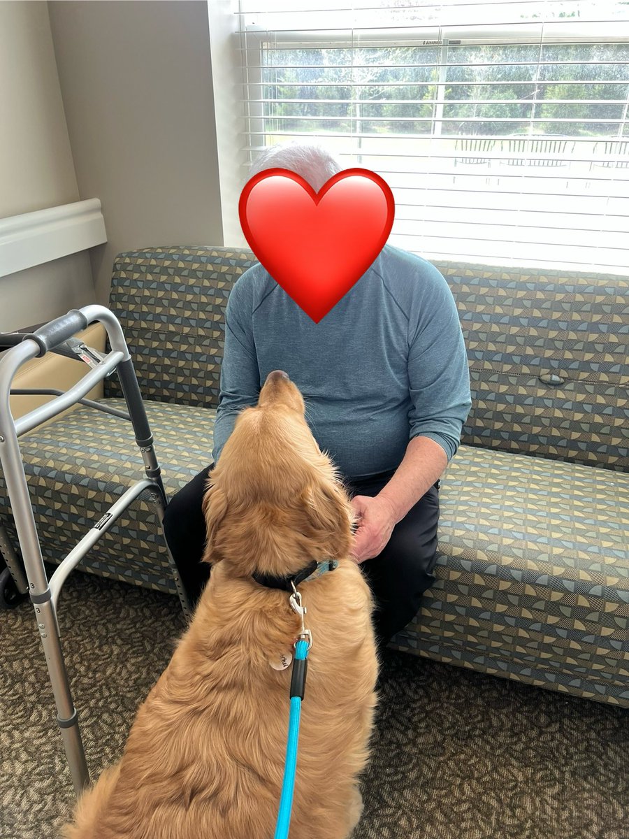 Rebjt's tweet photo. @dog_rates Fletcher was good again!! When his buddy with dementia saw Fletcher arrive, he said: that’s my dog! #therapydog
#goldenretriever https://t.co/v30eLFliX1