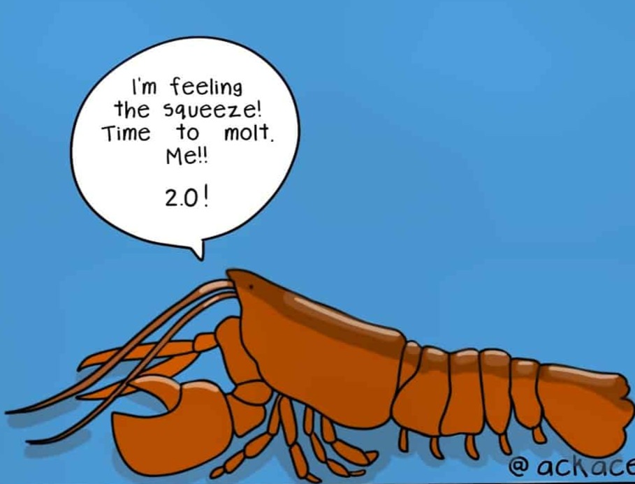 Latest Blog Post from <a href="/SoileirPsych/">Soiléir</a> - What Lobsters can teach us about change
soileir.ie/soileir-news
