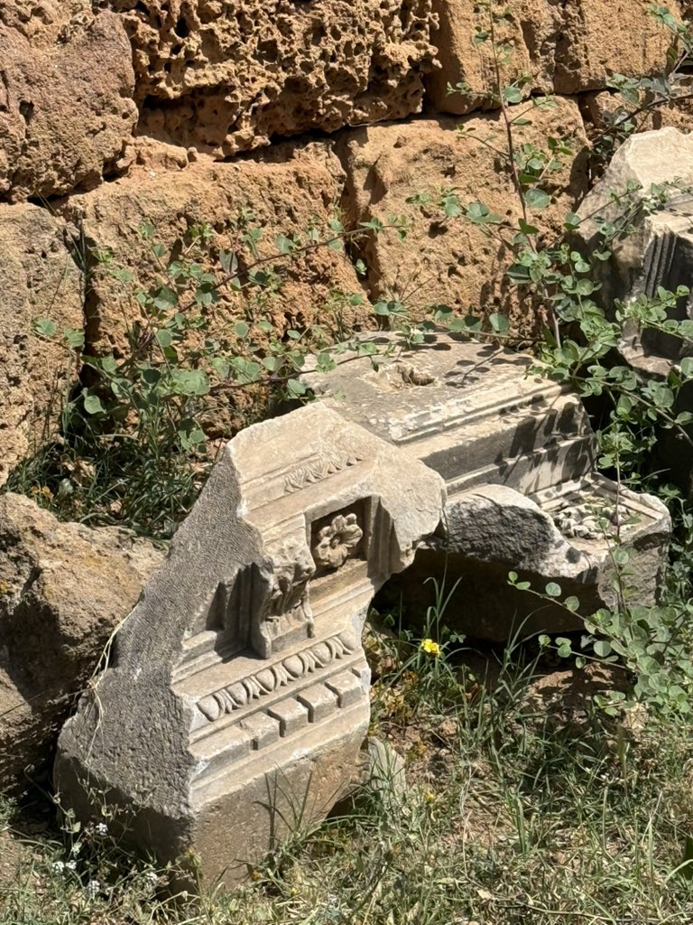 ElizabethAubin's tweet photo. ❤️ #Cherchell ❤️🇩🇿 https://t.co/KV5eEeIFz8