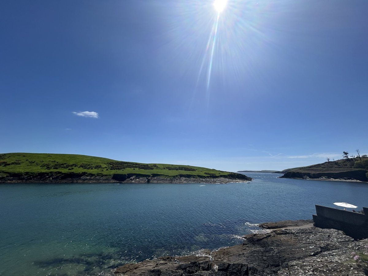 David Forde tweet media