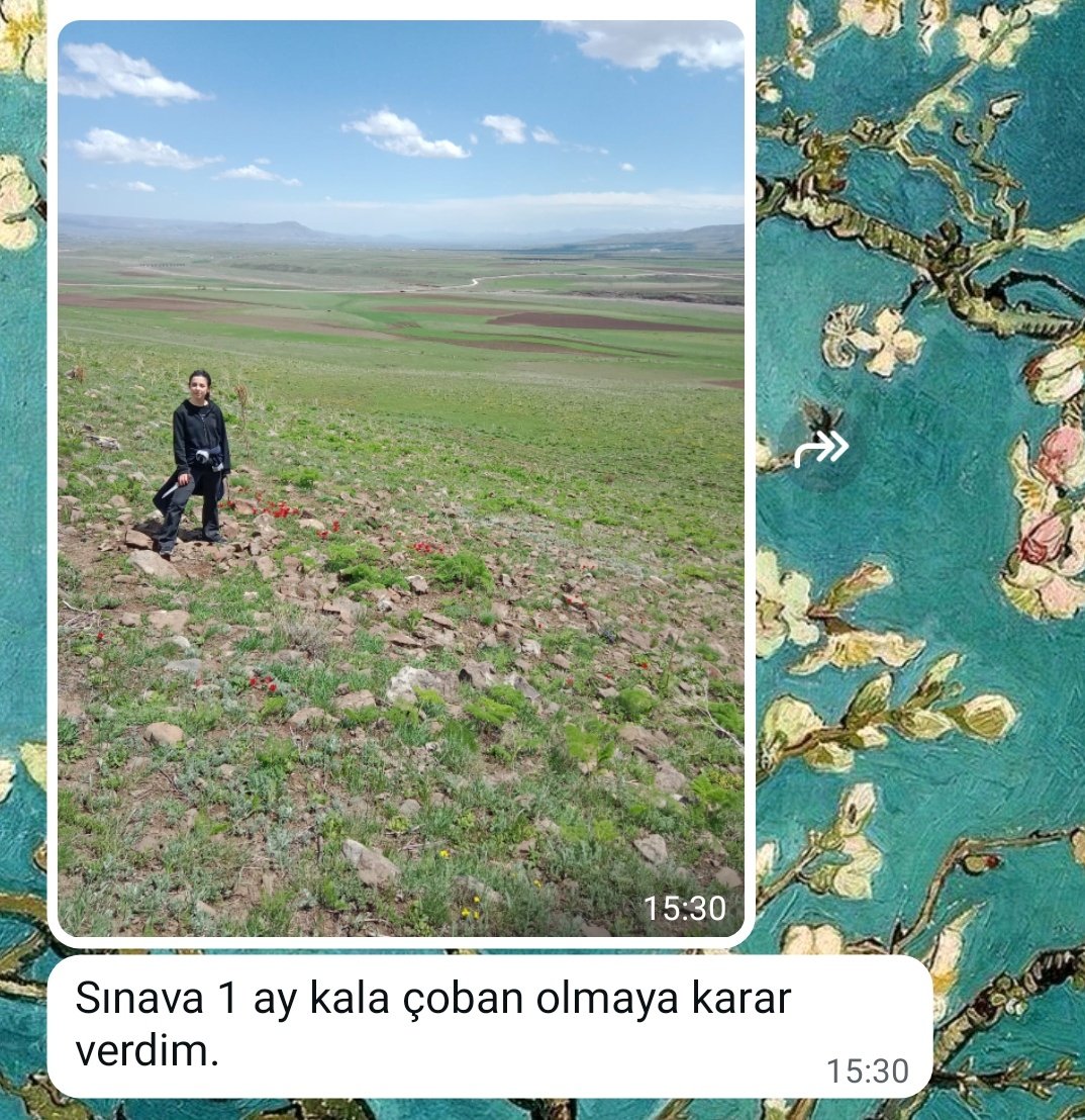 Baktık netler artmıyor, bir de bunu deneyelim 😉.