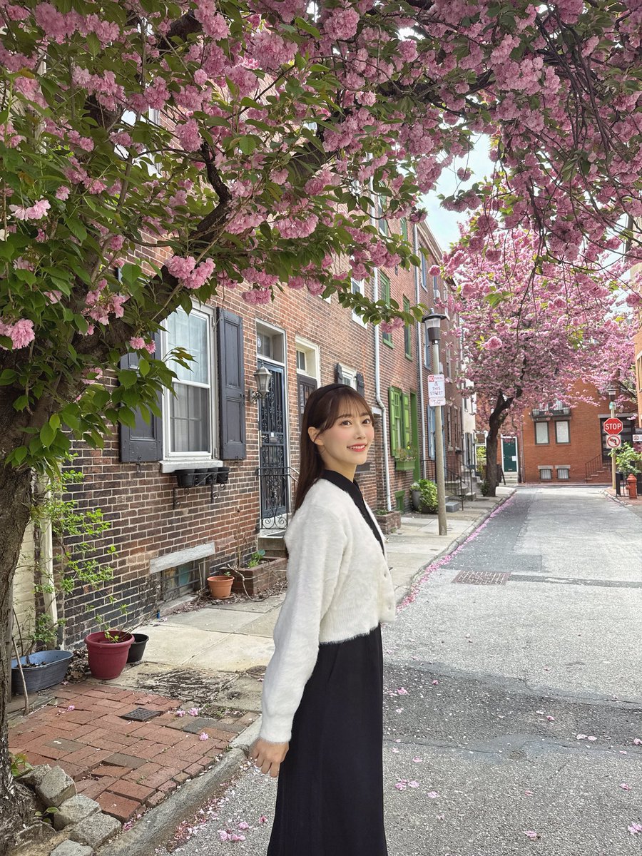 フィラデルフィアで出会ったかわいいお花💞
街並みがとっても素敵でお散歩沢山しました🐾
あとチーズステーキが美味しすぎて2日連続食べました笑
