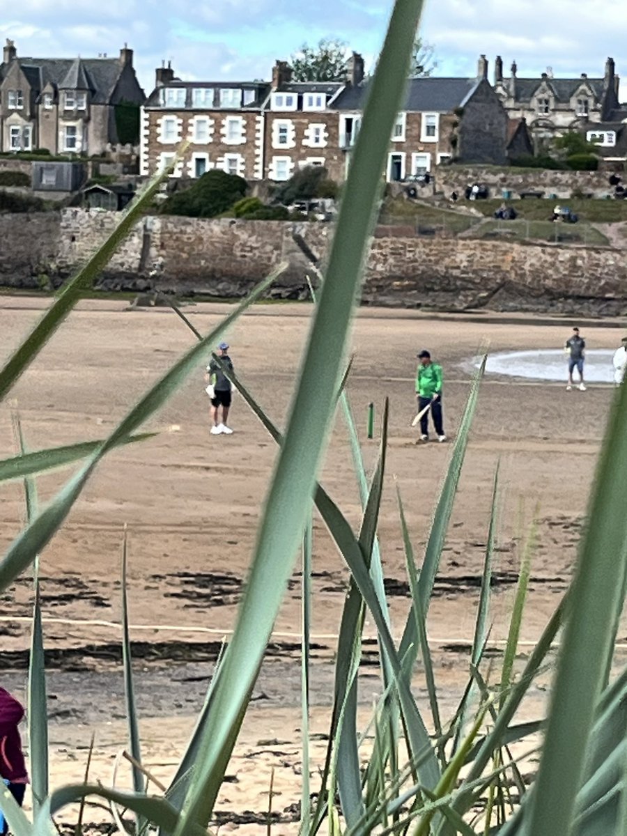 Alison Lee tweet media