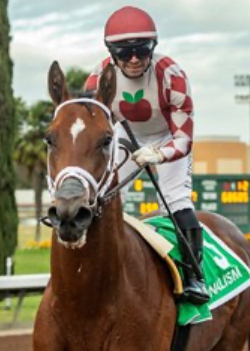 On World Press Freedom Day place your bets on a horse named Journalism. #Derby #WorldPressFreedomDay #Journalism