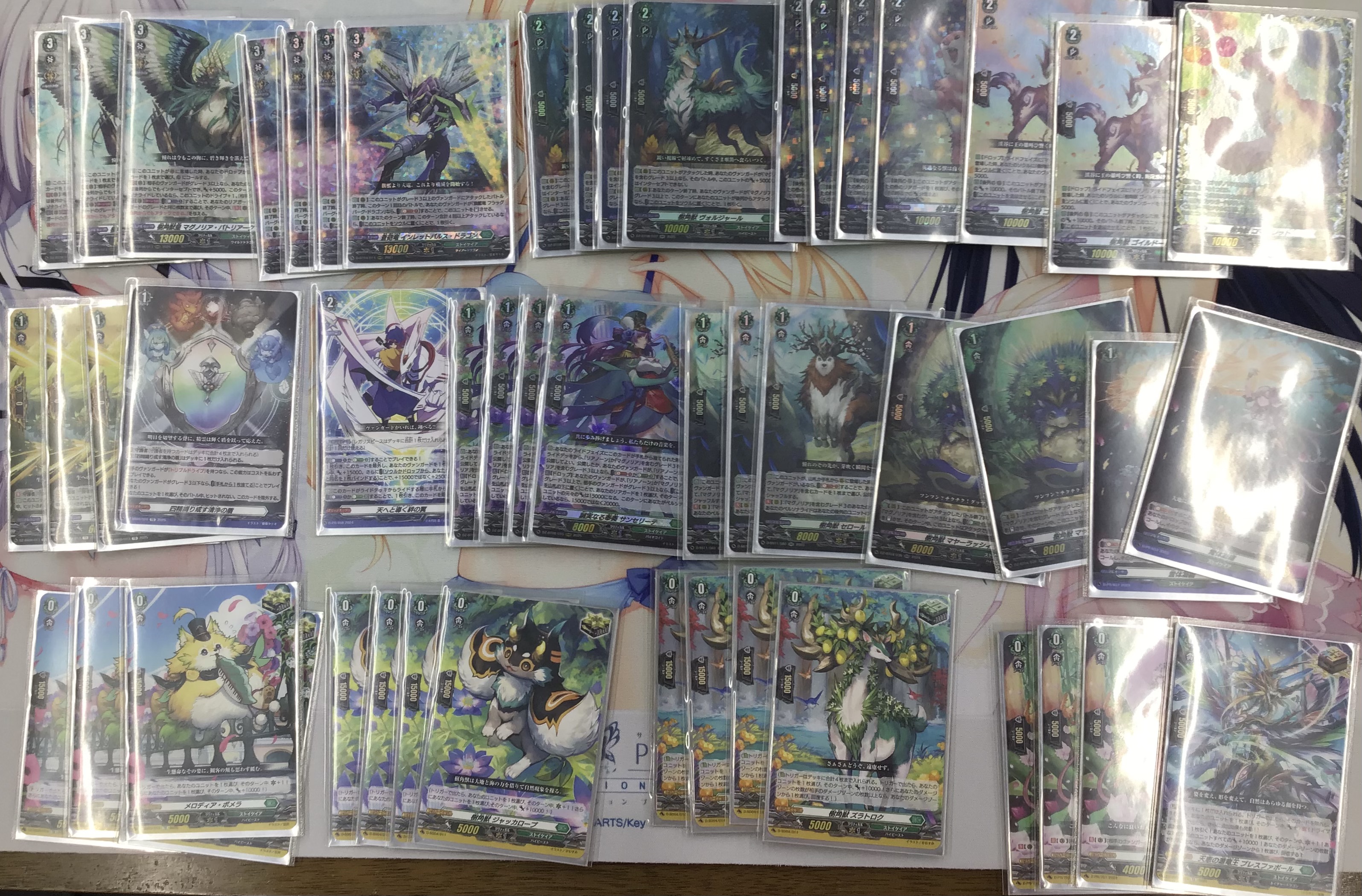 バーダック BT18-089 final champion ship 2022