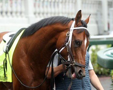 TOONTHETC's tweet photo. When he writes his own story and makes his way into the record books it’ll be exquisite, Journalism.  

#kentuckyderby #Kentuckyderby2025  #journalismforthewin https://t.co/MZycgCI8aD