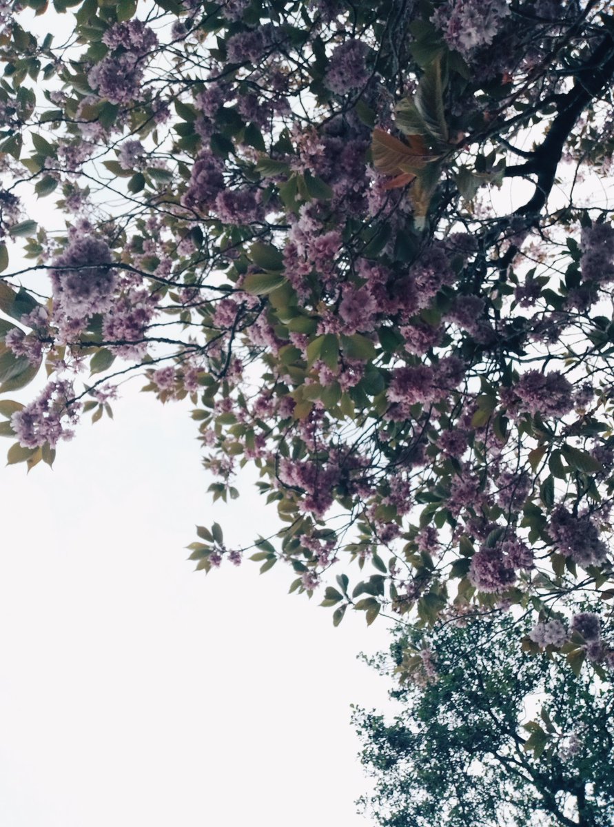 Tinker-World RPG game tweet media