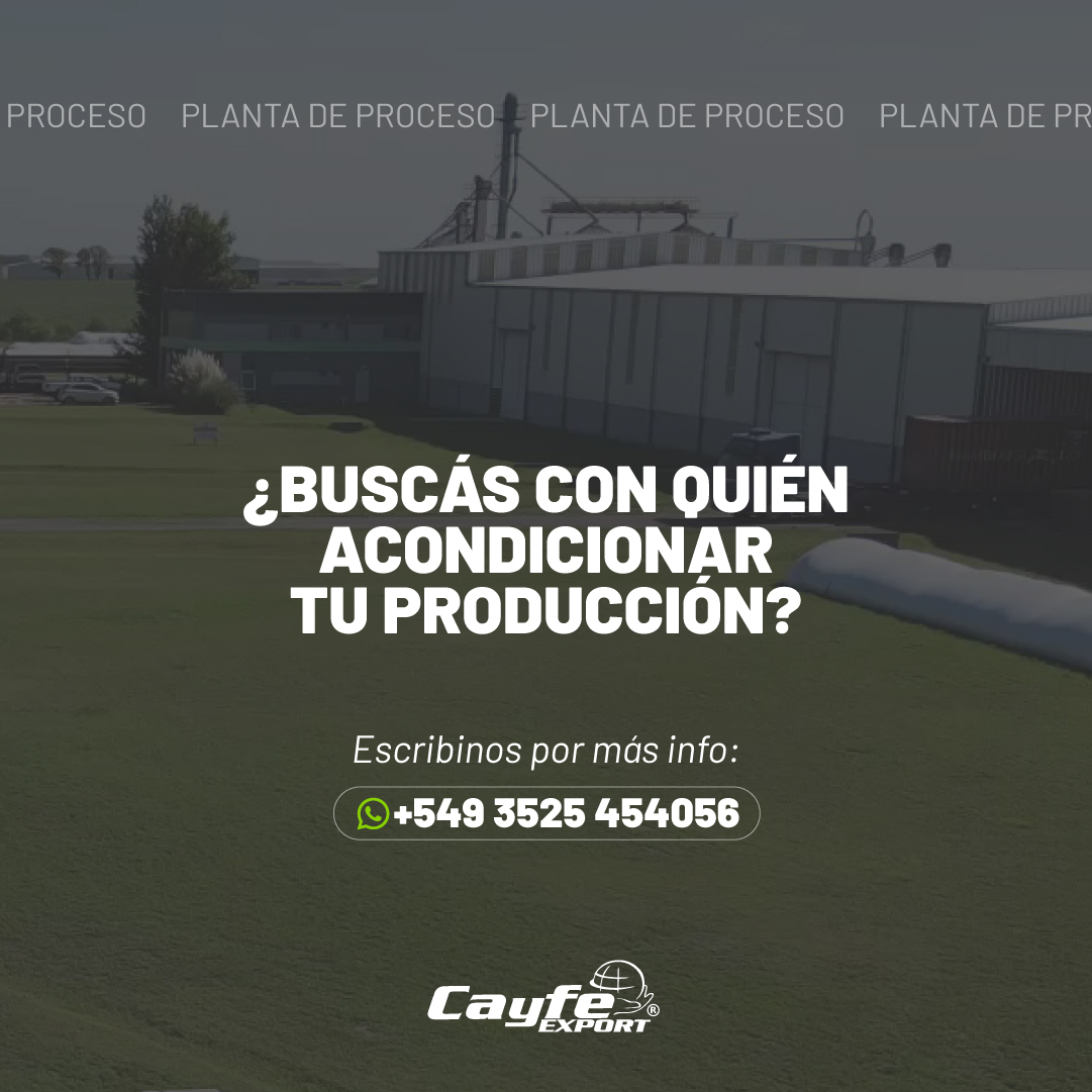 cayfe_export's tweet image. Somos el partner de confianza que estabas buscando😉

Acondicioná tu producción en nuestra planta de proceso ubicada en una de las zonas centro productivas de excelencia en Argentina🏭🇦🇷

📲Más info al: 3525 454056