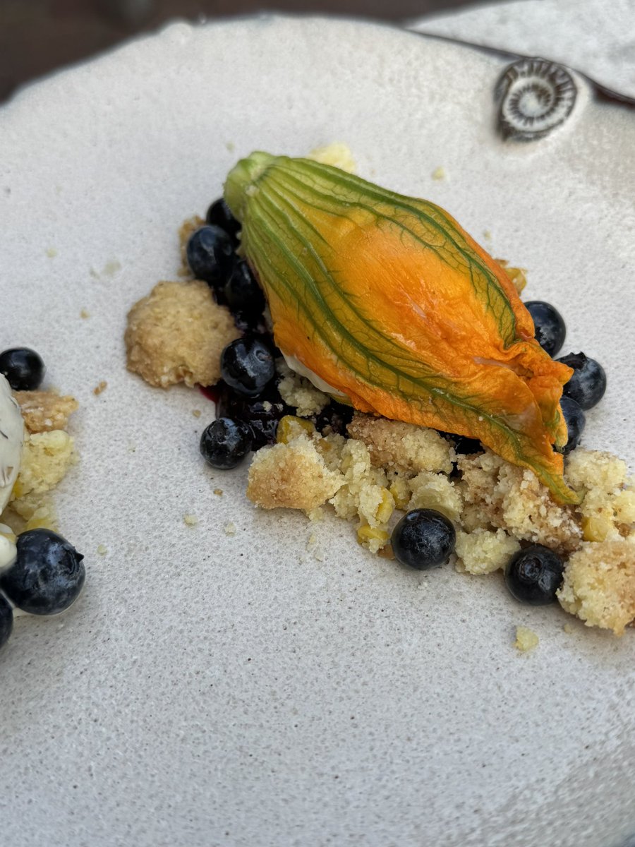 Sedesh79's tweet photo. Cheesecake Stuffed Squash Blossom Honeysuckle Ice Cream | Corn Crumble | Blueberry 
#imyourfavoritechefsfavoritechef #dessert #foragedfood https://t.co/KGzseoS7KL