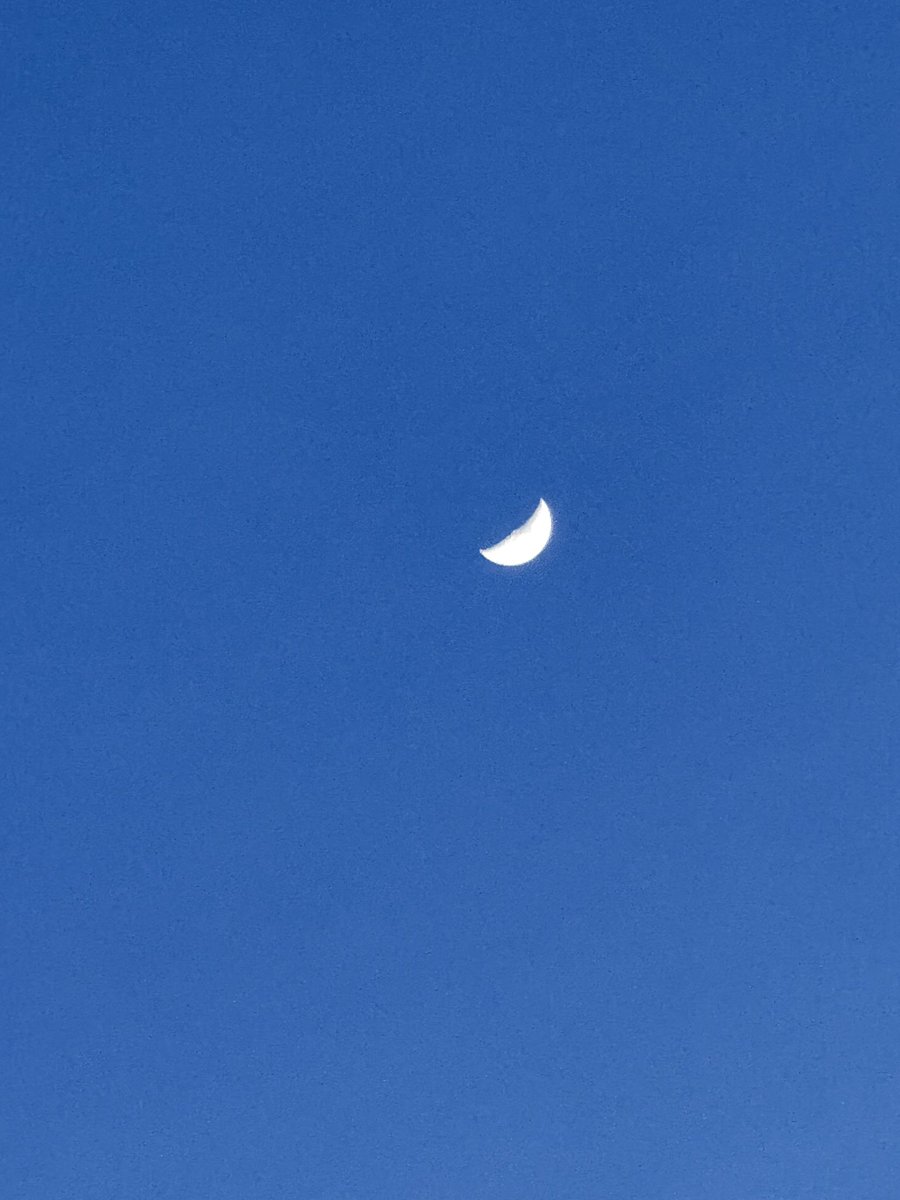 herotamuchin2's tweet photo. 皆様素敵な夜をお過ごしください🌉
#themoonisbeautiful https://t.co/Q2jXNKkfNr