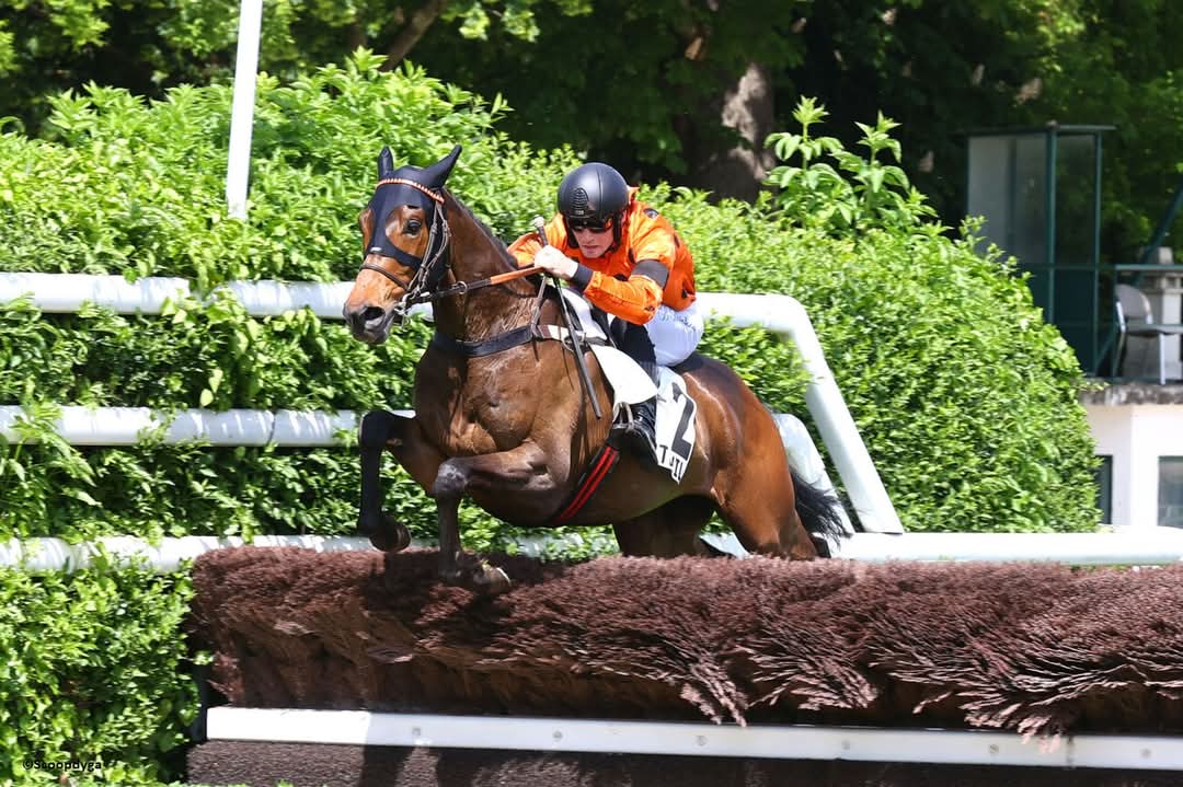 OSARUS (@osarussales) on Twitter photo 🥇 𝐖𝐎𝐎𝐃𝐒 #latesteyearling
Another win for La Teste yearling sale graduate WOODS (3yo #Birchwood) today at Auteuil for David Windrif & <a href="/BastienMarchand/">Bastien Marchand</a>
🔷 He was purchased for 10k€ by Daniel Colé from <a href="/HClairefontaine/">Haras de Clairefontaine</a> in September 2023
📸 #ScoopDyga 🥇 𝐖𝐎𝐎𝐃𝐒 #latesteyearling
Another win for La Teste yearling sale graduate WOODS (3yo #Birchwood) today at Auteuil for David Windrif & <a href="/BastienMarchand/">Bastien Marchand</a>
🔷 He was purchased for 10k€ by Daniel Colé from <a href="/HClairefontaine/">Haras de Clairefontaine</a> in September 2023
📸 #ScoopDyga