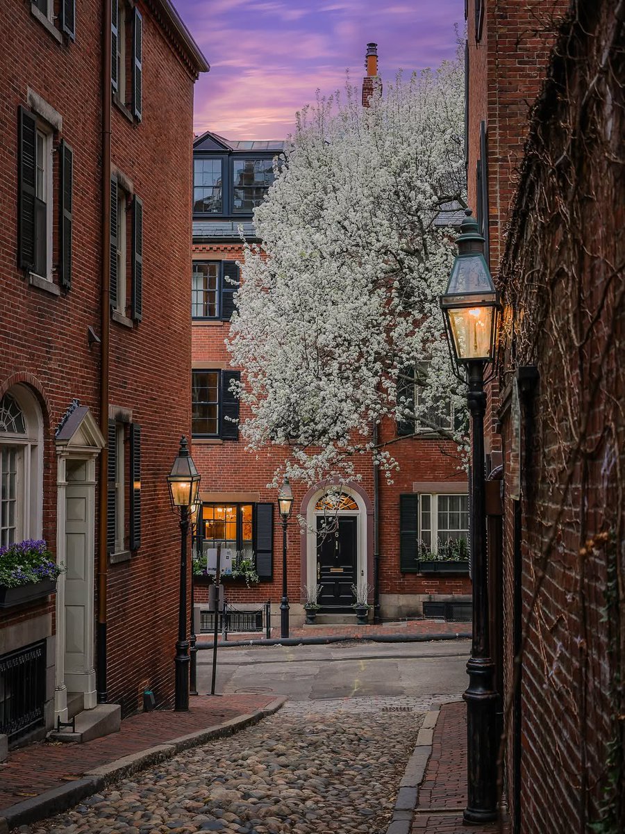 If you HAD to move to the US, which city would you choose to live in?