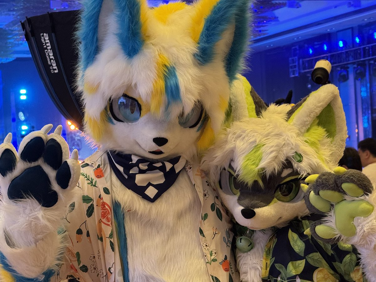 NewiRabbit's tweet photo. 新鲜大头贴 https://t.co/ANwJqOmJQ4
