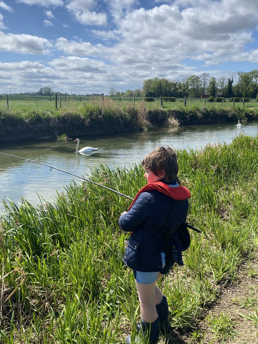 ⁦<a href="/thecatbristow/">catherine bristow</a>⁩ 🎣 🦢