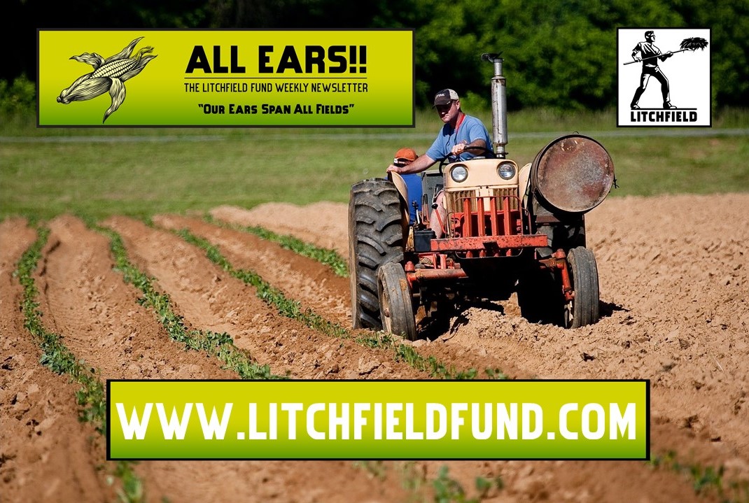 This week's All Ears!!

🌽🌽Antennae or Antennas?🌽🌽
lnkd.in/g2EDrv-W

#cpgindustry #cpgnews #investing #founders #networking #amwriting 
#investors #entrepreneur #writerscommunity #writingcommunity