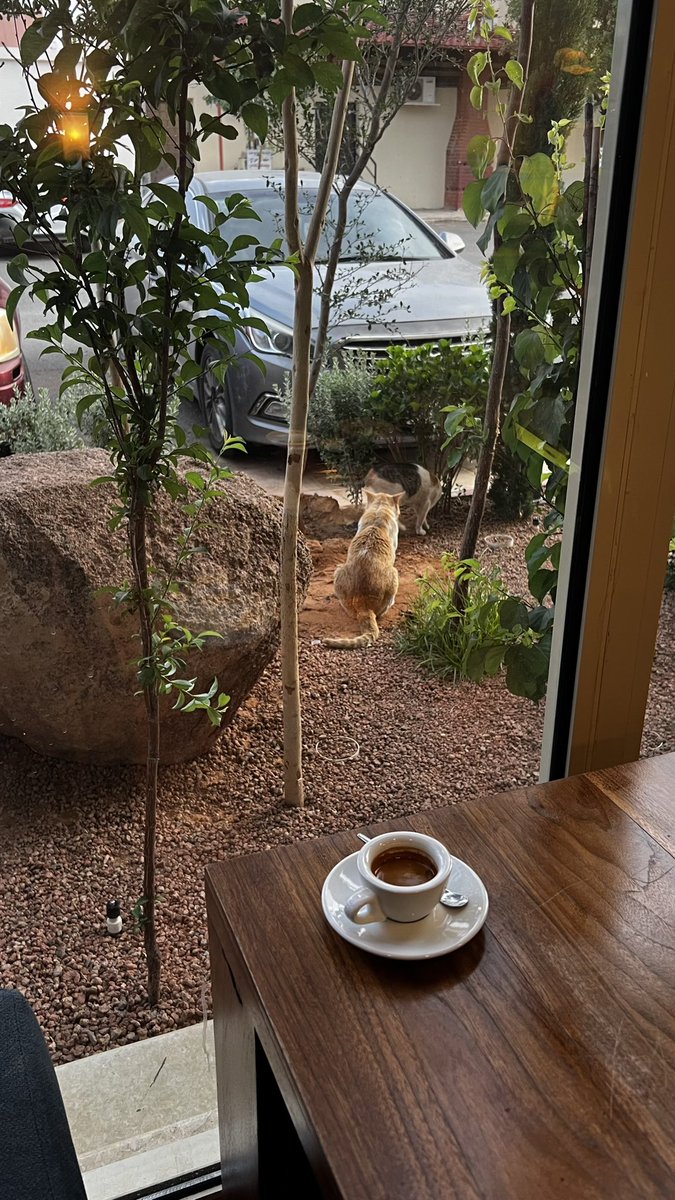 S (@syu8s) on Twitter photo 