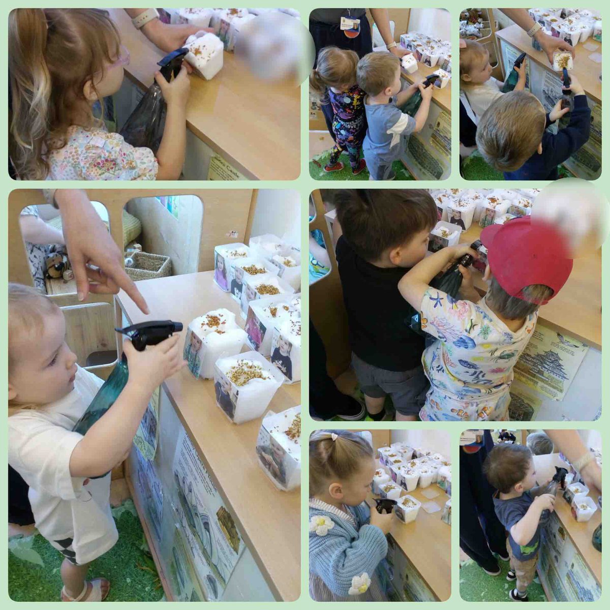 Applebees Pre-school (@applebees_mh) on Twitter photo We have planted cress seeds this week <a href="/FrodManor/">Frodsham Manor House</a> to see how quickly they change and grow without even needing soil! We have planted cress seeds this week <a href="/FrodManor/">Frodsham Manor House</a> to see how quickly they change and grow without even needing soil!