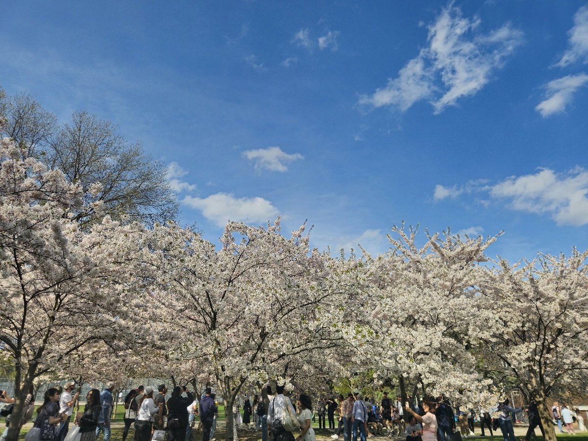 In my own little spring story