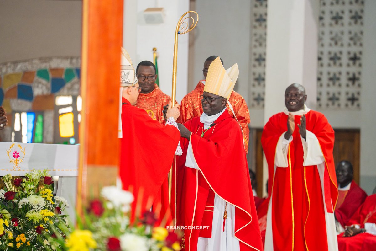 Fran6Concept tweet media