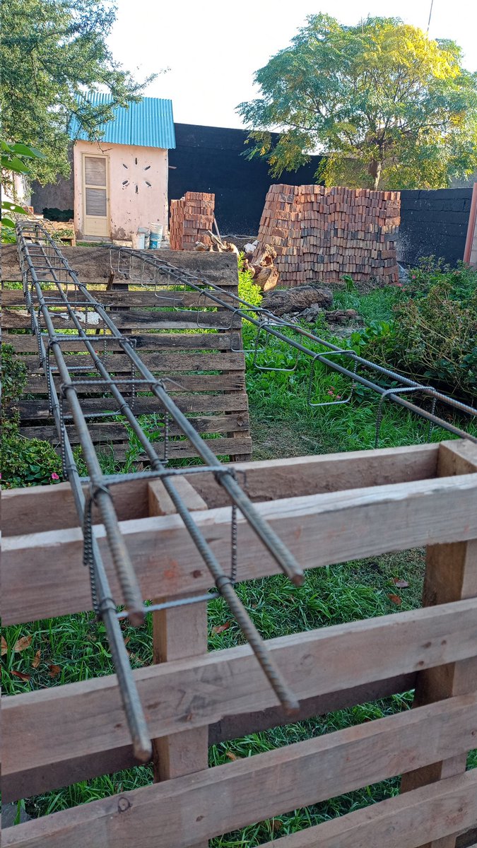 Gm fam l! Have an amazing day ☀️