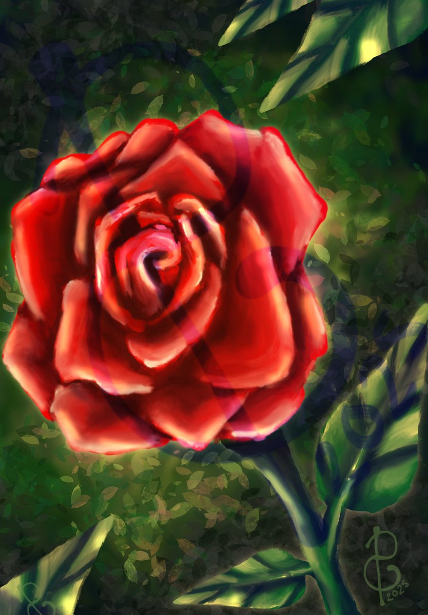 PhthalosGallery's tweet photo. A simple rose 

#digitalart #procreate #illustration #drawing #myart #rose #mywork https://t.co/7P5SBrzRxD