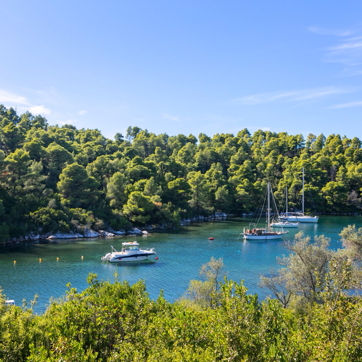 VisitGreecegr's tweet photo. #Skopelos is famous for pine-fringed beaches, turquoise waters, and incredible local cuisine. It rose to global fame as the filming location for Mamma Mia! 🌊🎬

Have you seen the movie?

👉 https://t.co/Lf8M1TI0F3

#VisitGreece https://t.co/WvLbTWrX1q